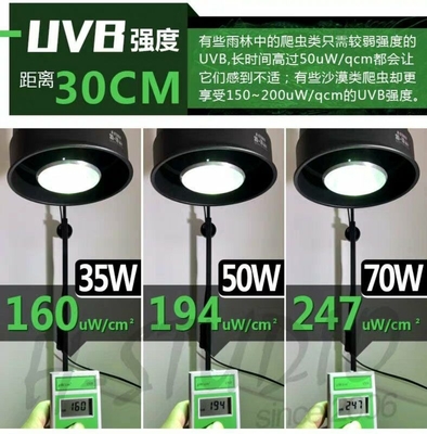 35W Reptilien UVB PAR E27 Aluminium HID Lampe 6000K Tageslicht Alarm für Terrarium